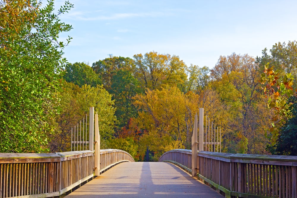 Theodore Roosevelt Island Walkway